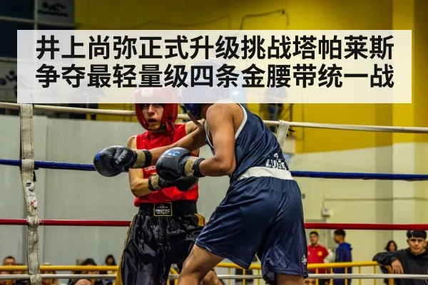 井上尚弥正式升级挑战塔帕莱斯争夺最轻量级四条金腰带统一战
