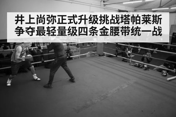 boxer training gym