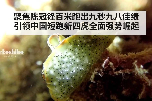 聚焦陈冠锋百米跑出九秒九八佳绩引领中国短跑新四虎全面强势崛起